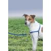 imagePetSafe Easy Walk NoPull Dog Harness  The Ultimate Harness to Help Stop Pulling  Take Control ampamp Teach Better Leash Manners  Helps Prevent Pets Pulling on Walks Small RaspberryGrayRoyal BlueNavy Blue