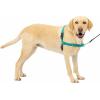 imagePetSafe Easy Walk NoPull Dog Harness  The Ultimate Harness to Help Stop Pulling  Take Control ampamp Teach Better Leash Manners  Helps Prevent Pets Pulling on Walks Small RaspberryGrayTealGray