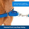 imagePetSafe Easy Walk NoPull Dog Harness  The Ultimate Harness to Help Stop Pulling  Take Control ampamp Teach Better Leash Manners  Helps Prevent Pets Pulling on Walks Small RaspberryGrayRoyal BlueNavy Blue