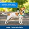 imagePetSafe Easy Walk NoPull Dog Harness  The Ultimate Harness to Help Stop Pulling  Take Control ampamp Teach Better Leash Manners  Helps Prevent Pets Pulling on Walks Small RaspberryGrayRoyal BlueNavy Blue