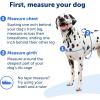 imagePetSafe Easy Walk NoPull Dog Harness  The Ultimate Harness to Help Stop Pulling  Take Control ampamp Teach Better Leash Manners  Helps Prevent Pets Pulling on Walks Small RaspberryGrayRoyal BlueNavy Blue