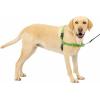 imagePetSafe Easy Walk NoPull Dog Harness  The Ultimate Harness to Help Stop Pulling  Take Control ampamp Teach Better Leash Manners  Helps Prevent Pets Pulling on Walks Small RaspberryGrayApple GreenGray