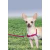 imagePetSafe Easy Walk NoPull Dog Harness  The Ultimate Harness to Help Stop Pulling  Take Control ampamp Teach Better Leash Manners  Helps Prevent Pets Pulling on Walks Small RaspberryGrayRaspberryGray