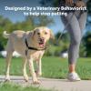 imagePetSafe Easy Walk NoPull Dog Harness  The Ultimate Harness to Help Stop Pulling  Take Control ampamp Teach Better Leash Manners  Helps Prevent Pets Pulling on Walks Small RaspberryGrayCharcoalBlack