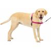 imagePetSafe Easy Walk NoPull Dog Harness  The Ultimate Harness to Help Stop Pulling  Take Control ampamp Teach Better Leash Manners  Helps Prevent Pets Pulling on Walks Small RaspberryGrayRaspberryGray