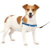 imagePetSafe Easy Walk NoPull Dog Harness  The Ultimate Harness to Help Stop Pulling  Take Control ampamp Teach Better Leash Manners  Helps Prevent Pets Pulling on Walks Small RaspberryGrayRoyal BlueNavy Blue
