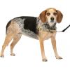 imagePetSafe Easy Walk NoPull Dog Harness  The Ultimate Harness to Help Stop Pulling  Take Control ampamp Teach Better Leash Manners  Helps Prevent Pets Pulling on Walks Small RaspberryGrayFawnBrown