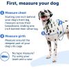imagePetSafe Easy Walk NoPull Dog Harness  The Ultimate Harness to Help Stop Pulling  Take Control ampamp Teach Better Leash Manners  Helps Prevent Pets Pulling on Walks Small RaspberryGrayApple GreenGray