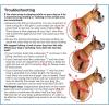 imagePetSafe Easy Walk NoPull Dog Harness  The Ultimate Harness to Help Stop Pulling  Take Control ampamp Teach Better Leash Manners  Helps Prevent Pets Pulling on Walks Small RaspberryGrayDeep PurpleBlack