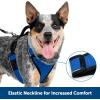 imagePetSafe EasySport Dog Harness  Adjustable Padded Dog Harness with Control Handle and Reflective Piping  Large PinkBlack