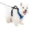 imagePetSafe EasySport Dog Harness  Adjustable Padded Dog Harness with Control Handle and Reflective Piping  Large PinkBlue