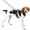 imagePetSafe EasySport Dog Harness  Adjustable Padded Dog Harness with Control Handle and Reflective Piping  Large PinkCharcoal