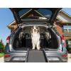 imagePetSafe Happy Ride Folding Pet Ramp Portable Lightweight Dog Ramp for Cars Trucks ampamp SUVs