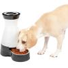 imagePetSafe Healthy Pet Food Station  Automatic Indoor Gravity Cat ampamp Dog Feeder  SpaceSaving Self Feeder  Easy to Clean  Small  Up to 2 lb Kibble CapacityFeeder