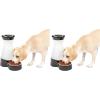 imagePetSafe Healthy Pet Food Station  Automatic Indoor Gravity Cat ampamp Dog Feeder  SpaceSaving Self Feeder  Easy to Clean  Small  Up to 2 lb Kibble CapacityFeeder