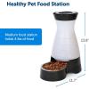 imagePetSafe Healthy Pet Food Station  Automatic Indoor Gravity Cat ampamp Dog Feeder  SpaceSaving Self Feeder  Easy to Clean  Small  Up to 2 lb Kibble CapacityFeeder