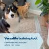 imagePetSafe ScatMat Indoor Training MatMedium 30 x 16