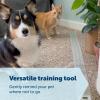 imagePetSafe ScatMat Indoor Training MatSofa 60 x 12