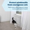 imagePetSafe ScatMat Indoor Training MatStrip 46 in X 3 in