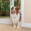 imagePetSafe Sliding Glass Pet Door  NoCut DIY Install Doggy Door for Renters  Aluminum Frame  Adjustable Height 75 78quot to 81quot  Ideal for Medium Dogs Up to 40 lb  WhiteWhite