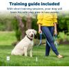imagePetSafe Stay ampamp Play Wireless Fence with Replaceable Battery Collar  from Parent Company of Invisible Fence Brand  Circular Boundary Covers Up to 34 AcreReceiver Collar Only