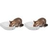 imagePetSafe Automatic Dog Feeder 5 Meals 40 oz Capacity Plastic for Dry Food Multiple Pets5Meal Pack of 2