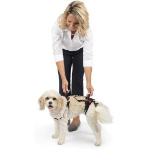 imagePetSafe CareLift Support Harness  Lifting Aid for Senior or Injured Dogs  Breathable Mesh  Machine Washable  PostSurgery Dog Support  MediumSmall