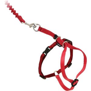 imagePetSafe Come with Me Kitty Harness and Bungee Leash Large LilacRed