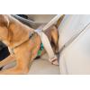 imagePetSafe 3in1 Harness  Comfortable EasyWalk Dog Chest Harness with Front Leash Attachment to Reduce Pulling Choking ampamp Gagging  Dog Obedience Gear  Medium  BlackTeal