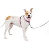 imagePetSafe 3in1 Harness  Comfortable EasyWalk Dog Chest Harness with Front Leash Attachment to Reduce Pulling Choking ampamp Gagging  Dog Obedience Gear  Medium  BlackPlum