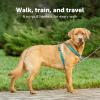 imagePetSafe 3in1 Harness  Comfortable EasyWalk Dog Chest Harness with Front Leash Attachment to Reduce Pulling Choking ampamp Gagging  Dog Obedience Gear  Medium  BlackTeal