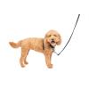 imagePetSafe 3in1 Harness  Comfortable EasyWalk Dog Chest Harness with Front Leash Attachment to Reduce Pulling Choking ampamp Gagging  Dog Obedience Gear  Medium  BlackBlack
