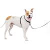 imagePetSafe 3in1 Harness  Comfortable EasyWalk Dog Chest Harness with Front Leash Attachment to Reduce Pulling Choking ampamp Gagging  Dog Obedience Gear  Medium  BlackBlack