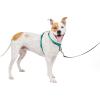 imagePetSafe 3in1 Harness  Comfortable EasyWalk Dog Chest Harness with Front Leash Attachment to Reduce Pulling Choking ampamp Gagging  Dog Obedience Gear  Medium  BlackTeal
