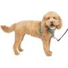 imagePetSafe 3in1 Harness  Comfortable EasyWalk Dog Chest Harness with Front Leash Attachment to Reduce Pulling Choking ampamp Gagging  Dog Obedience Gear  Medium  BlackTeal