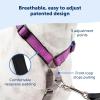 imagePetSafe 3in1 Harness  Comfortable EasyWalk Dog Chest Harness with Front Leash Attachment to Reduce Pulling Choking ampamp Gagging  Dog Obedience Gear  Medium  BlackPlum
