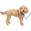 imagePetSafe 3in1 Harness  Comfortable EasyWalk Dog Chest Harness with Front Leash Attachment to Reduce Pulling Choking ampamp Gagging  Dog Obedience Gear  Medium  BlackPlum