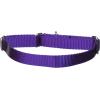 imagePetSafe Adjustable Martingale Collar  Only Tightens When Dogs Pull Prevents Slipping Out  Helps with Strong Pullers Increased Control  Alternative to Choke Collar  1quot Medium RedDeep Purple