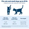 imagePetSafe Big Cat Door  MultiPet Doorway Locking Cat Door Made For Interior ampamp Exterior Use Suitable for Pets Up to 25 lb PushampampTurn 4Way Lock for Extra Security  Soft Close Flap for Added Safety11x12 inches
