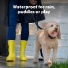 imagePetSafe Core Digital Dog Bark Collar  Waterproof AntiBark Training Device  Tone Vibration and Static Correction  Illuminated Digital Display  for Small Medium or Large Dogs 8 lb and Up