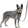 imagePetSafe Easy Walk Comfort NoPull Dog Harness FullBody Padding  Better Walks on The First Use  5 Points of Adjustment Large BlueBlack