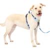 imagePetSafe Easy Walk Comfort NoPull Dog Harness FullBody Padding  Better Walks on The First Use  5 Points of Adjustment Large BlueBlue