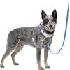 imagePetSafe Easy Walk Comfort NoPull Dog Harness FullBody Padding  Better Walks on The First Use  5 Points of Adjustment Large BlueBlue