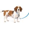 imagePetSafe Easy Walk Comfort NoPull Dog Harness FullBody Padding  Better Walks on The First Use  5 Points of Adjustment Large BlueBlue