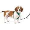 imagePetSafe Easy Walk Comfort NoPull Dog Harness FullBody Padding  Better Walks on The First Use  5 Points of Adjustment Large BlueGreen