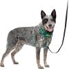 imagePetSafe Easy Walk Comfort NoPull Dog Harness FullBody Padding  Better Walks on The First Use  5 Points of Adjustment Large BlueGreen