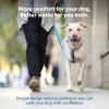 imagePetSafe Easy Walk Comfort NoPull Dog Harness FullBody Padding  Better Walks on The First Use  5 Points of Adjustment Large BlueGreen