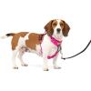 imagePetSafe Easy Walk Comfort NoPull Dog Harness FullBody Padding  Better Walks on The First Use  5 Points of Adjustment Large BluePink
