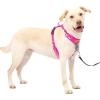 imagePetSafe Easy Walk Comfort NoPull Dog Harness FullBody Padding  Better Walks on The First Use  5 Points of Adjustment Large BluePink