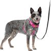 imagePetSafe Easy Walk Comfort NoPull Dog Harness FullBody Padding  Better Walks on The First Use  5 Points of Adjustment Large BluePink